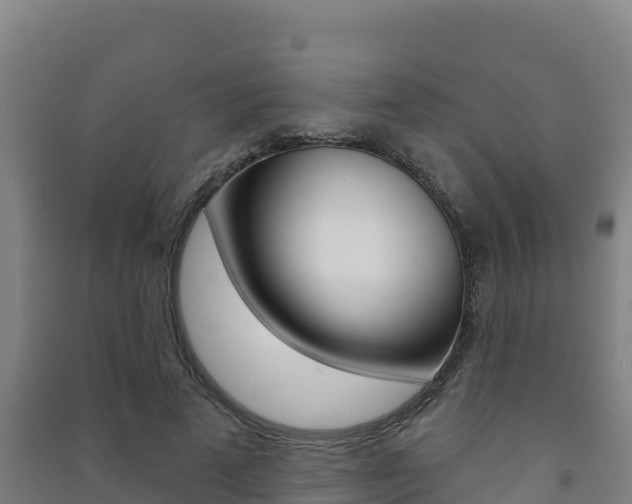 X0000091470689200708161128