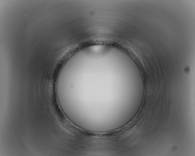 X0000091470690200708161128