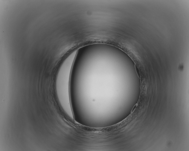 X0000091470692200708161128