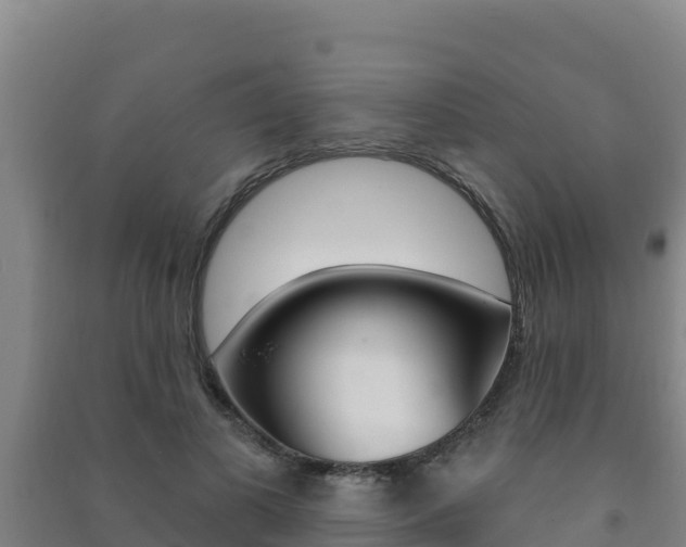 X0000091470693200708161128