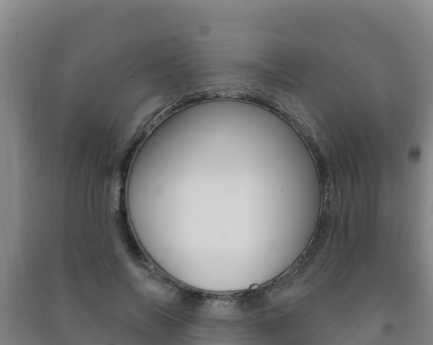 X0000091470694200708161128