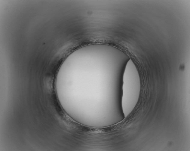 X0000091470695200708161128