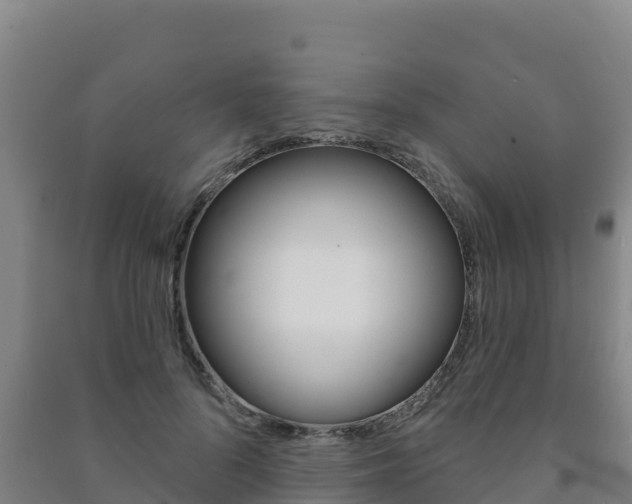 X0000091470696200708161128