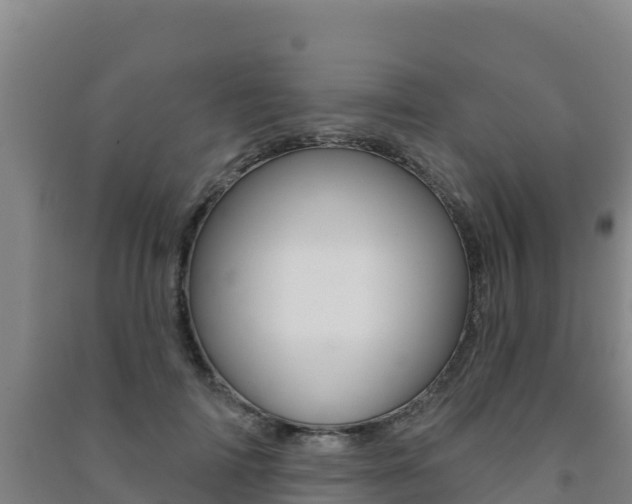 X0000091470698200708161128
