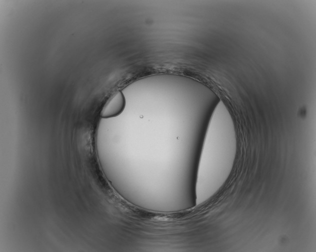 X0000091470699200708161128