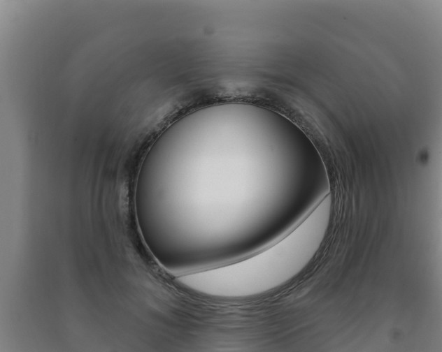 X0000091470700200708161128