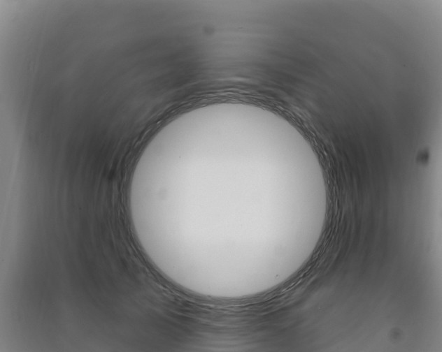 X0000091470705200708161128