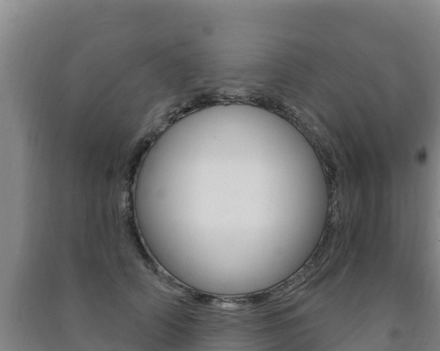 X0000091470706200708161128