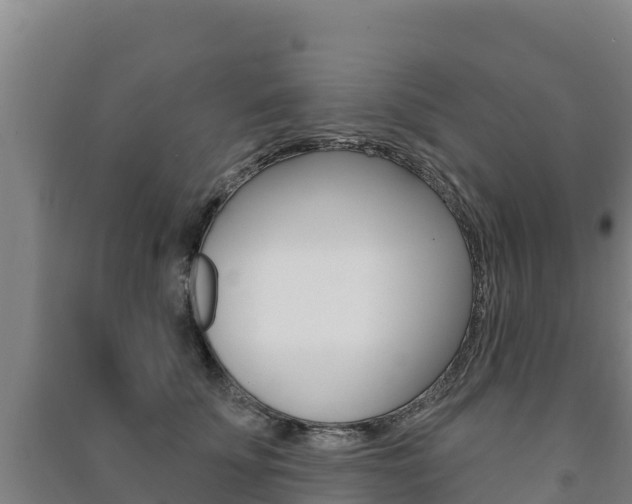 X0000091470707200708161128