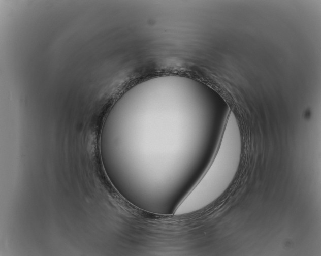 X0000091470708200708161128