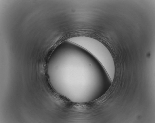 X0000091470712200708161128
