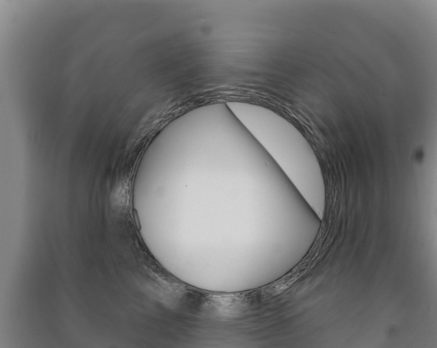 X0000091470713200708161128