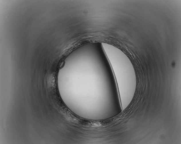 X0000091470715200708161128