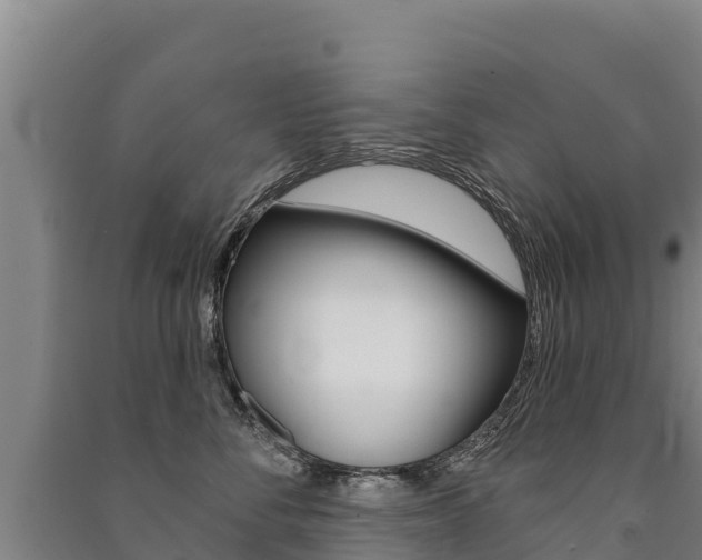 X0000091470716200708161128