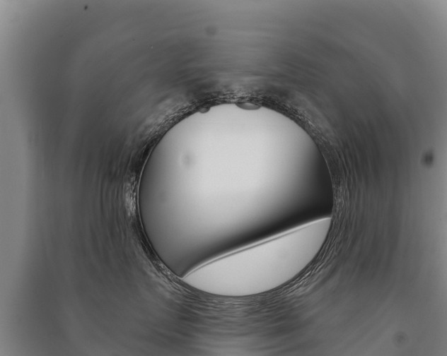 X0000091470719200708161128