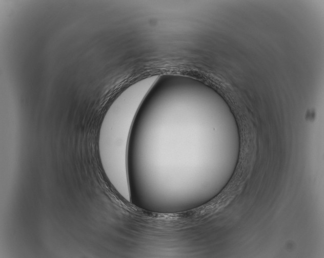 X0000091470720200708161128
