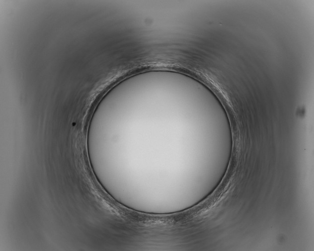 X0000091470721200708161127