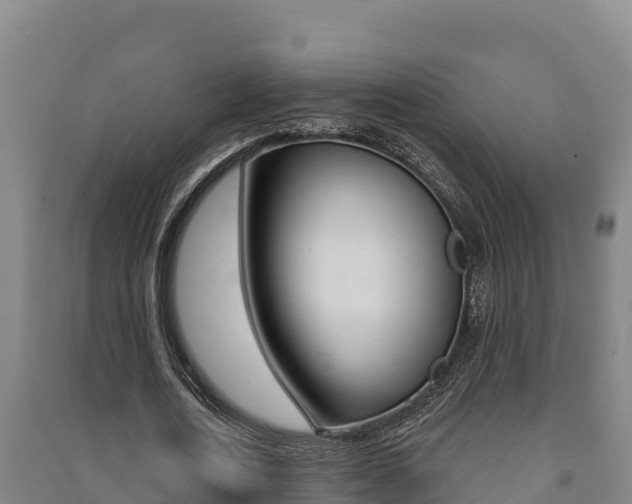 X0000091470722200708161127