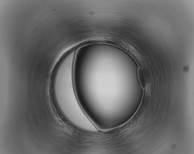 X0000091470724200708161127