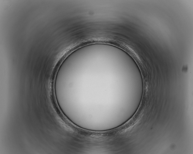 X0000091470725200708161127