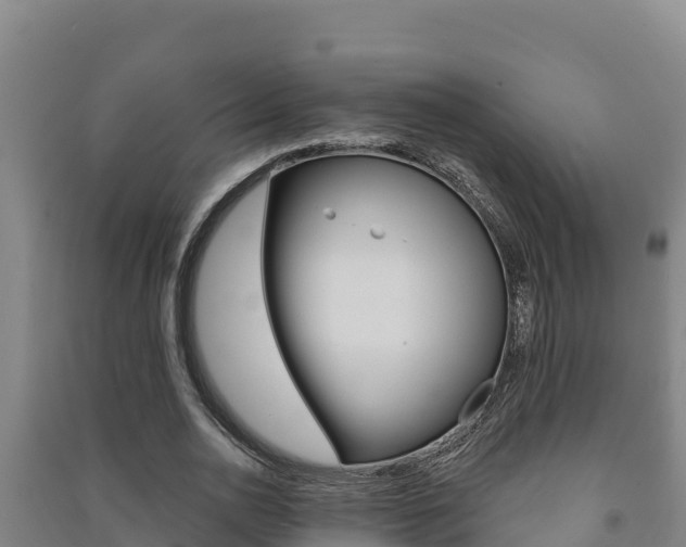 X0000091470726200708161127