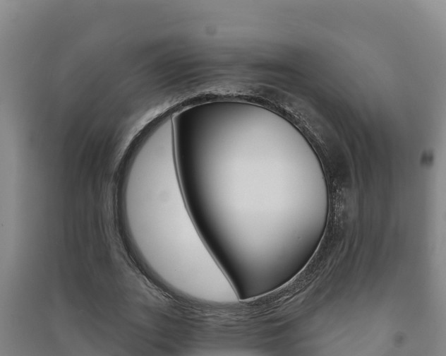 X0000091470727200708161127