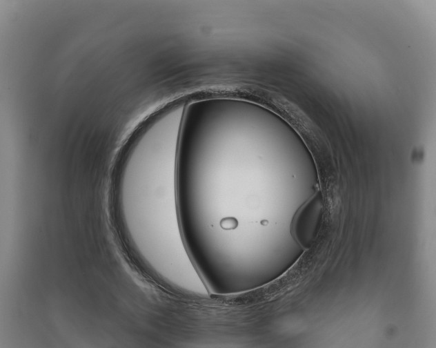 X0000091470728200708161127