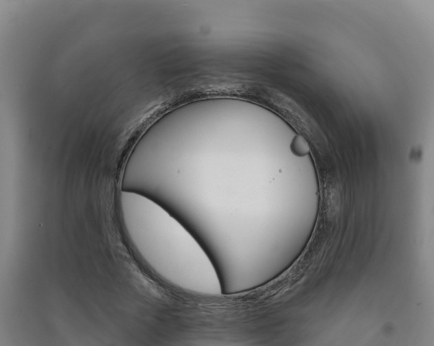 X0000091470729200708161127