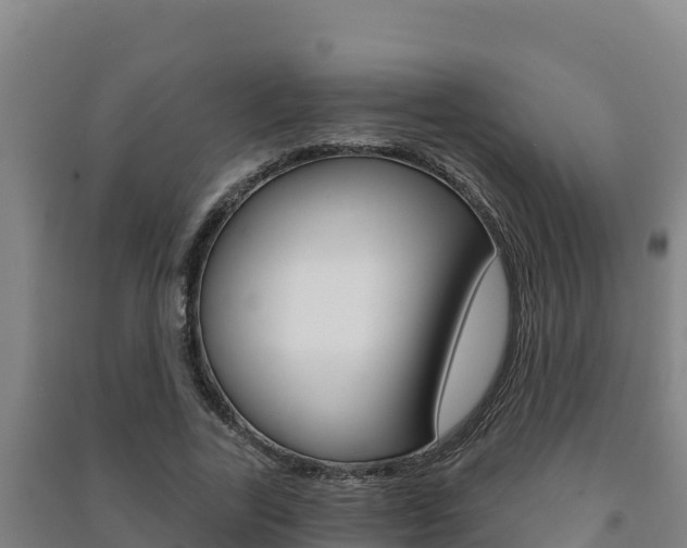 X0000091470731200708161127