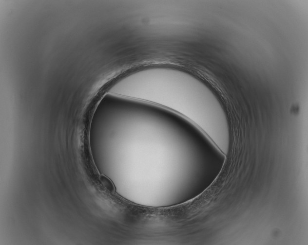 X0000091470732200708161127