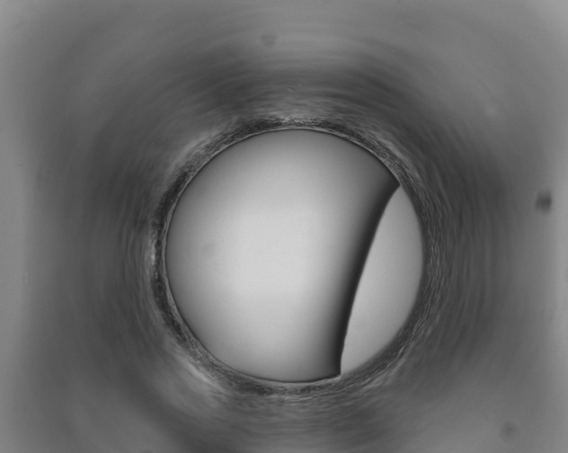 X0000091470733200708161127