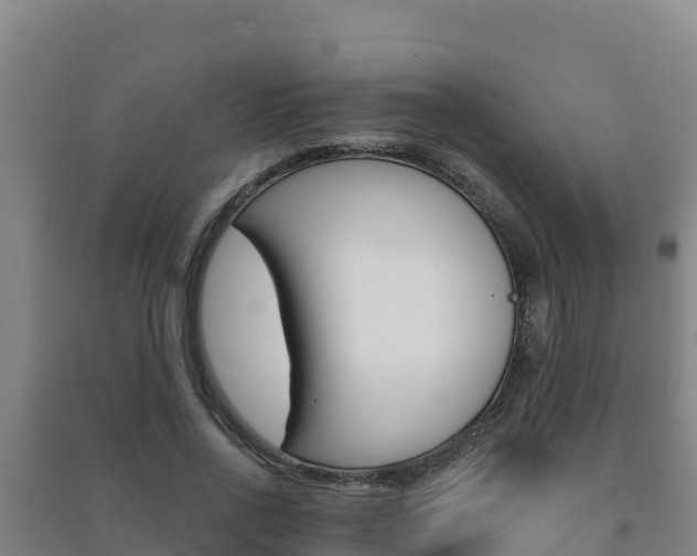 X0000091470734200708161127