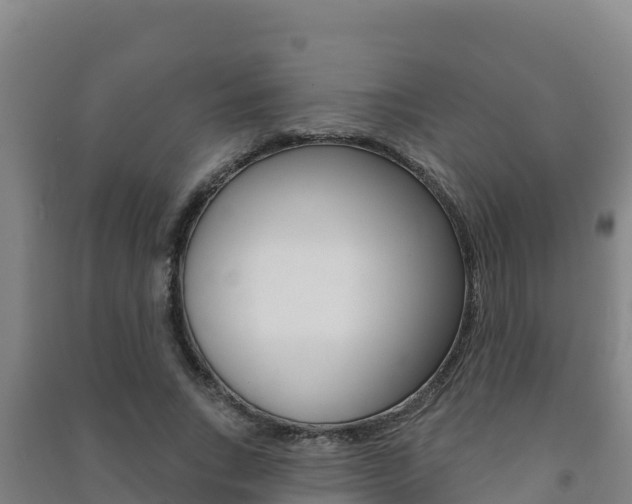 X0000091470735200708161127