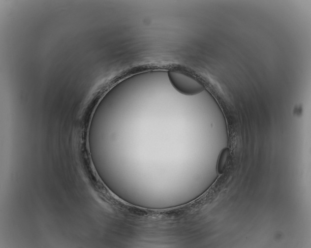X0000091470736200708161127