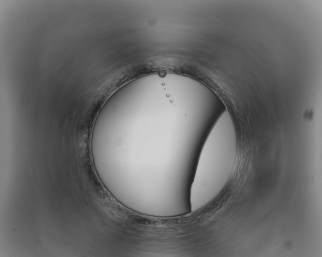 X0000091470737200708161127