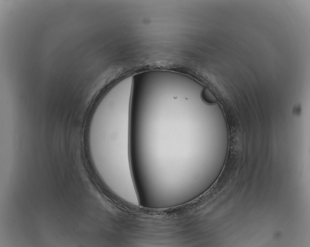 X0000091470738200708161127