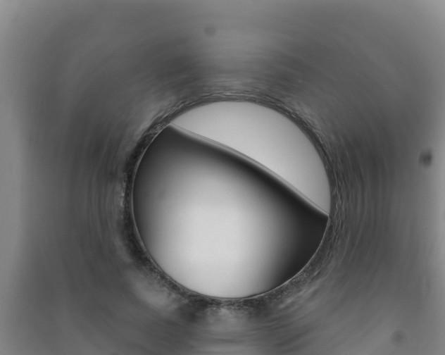 X0000091470739200708161127