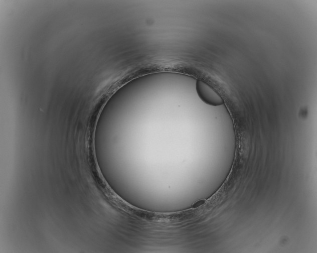 X0000091470740200708161127