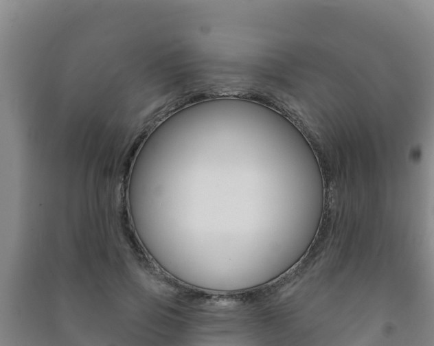 X0000091470741200708161127