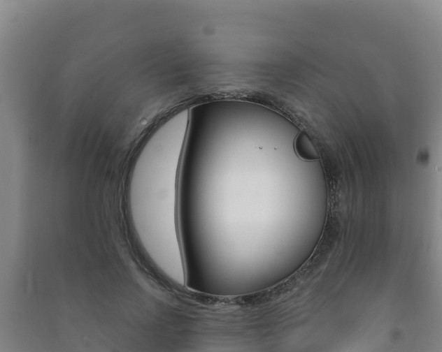 X0000091470742200708161127