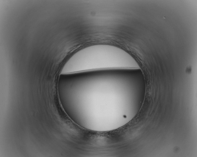 X0000091470743200708161127
