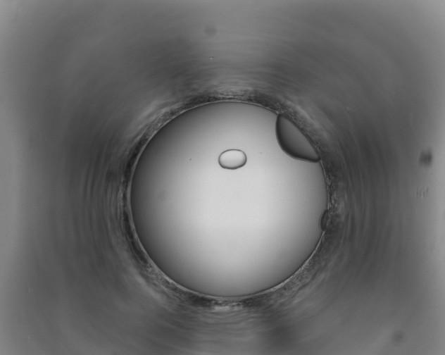 X0000091470744200708161127