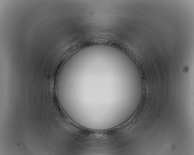 X0000091470745200708161127