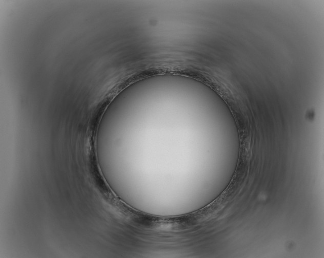 X0000091470746200708161127