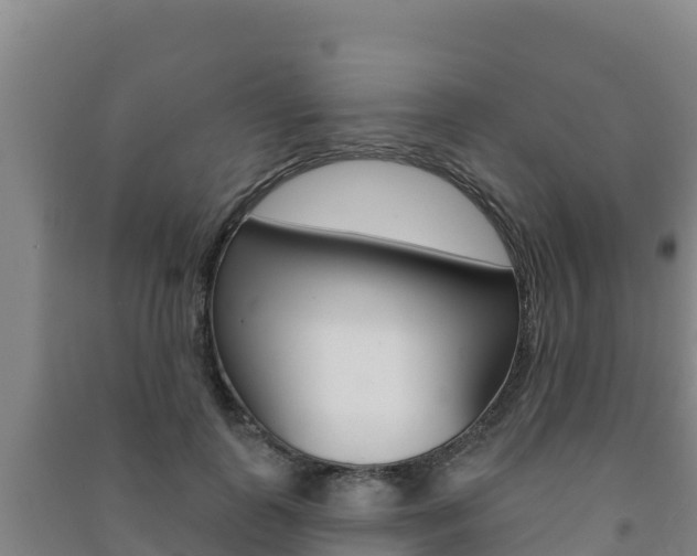X0000091470747200708161127
