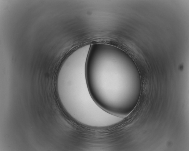 X0000091470748200708161127