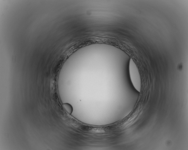X0000091470749200708161127