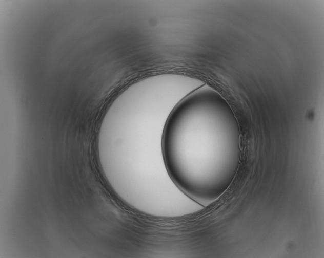 X0000091470750200708161128
