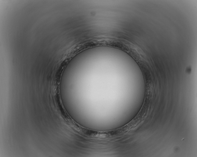 X0000091470751200708161128