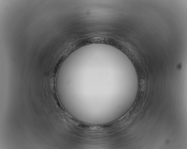 X0000091470753200708161128